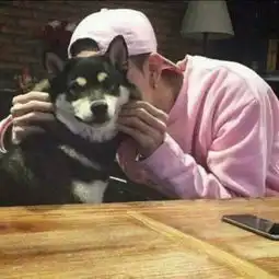 我想找这个情侣头像的另一张
