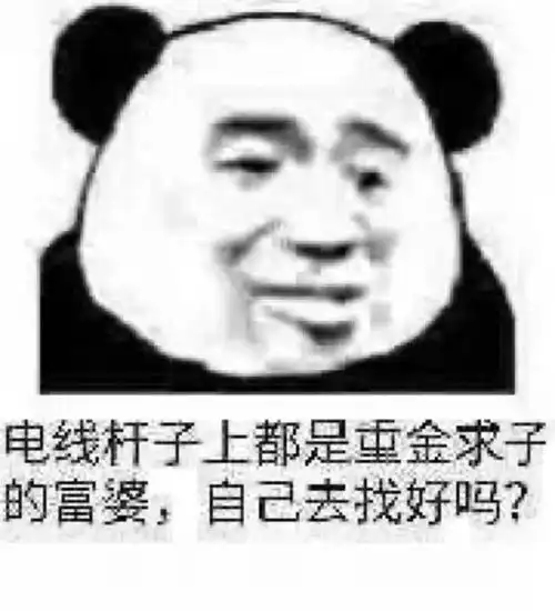搞笑沙雕熊猫头表情包有人拼结婚吗老公是你的,彩礼是我的
