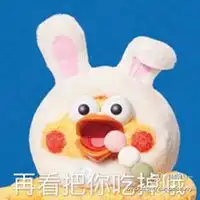 鹦鹉兄弟情侣头像一对微信头像图片大全
