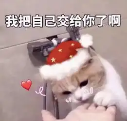 斗图小表情12.21
