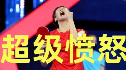 下午三点,抵抗饭圈文化第一人,陈梦樊振东举双手赞成
