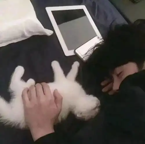 给个机会当你的情侣头像吧
