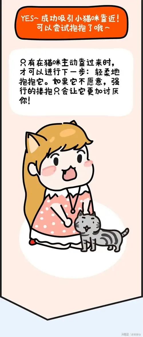 白养了这么多年的猫,抱抱的姿势还是错的怪不得它不爱你
