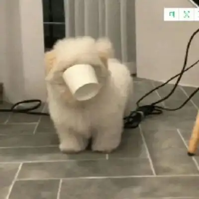 逗比头像
