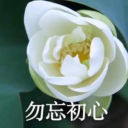 简单说一下这个综艺
