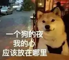 全网超火的来了头像表情包文案

