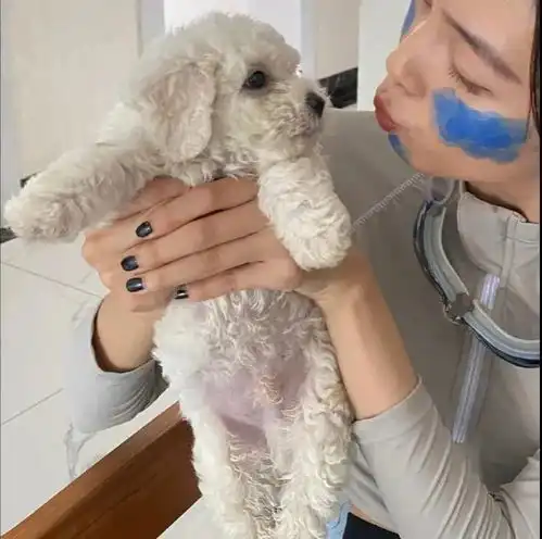 头像不笑运气差一笑嘴又大
