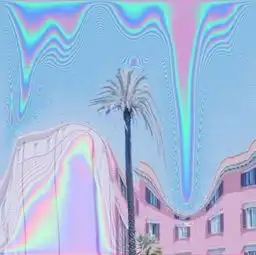 demo

