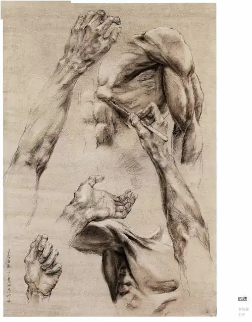 最新,广美留校素描作品
