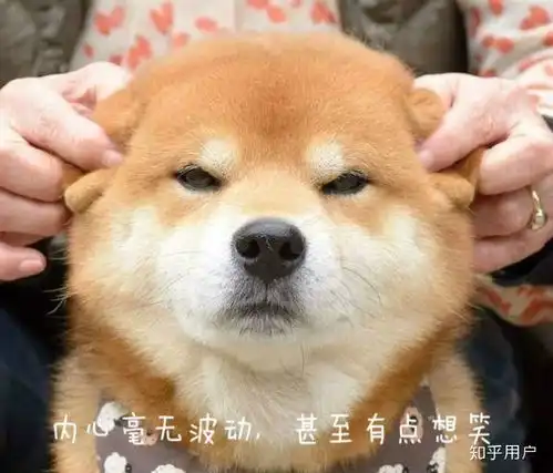 面对着同龄的一个一个人都结婚了,自己却混的一无是处,从内心中慌了,这该怎么办
