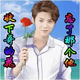表情包追星,了解一下
