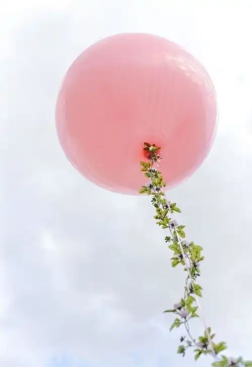 论两肋插刀的重要性白羊座和双鱼座有话要说

