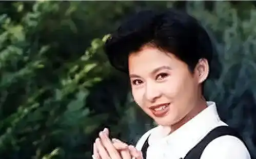 一百万一夜赖昌星揭露两人真实关系,歌唱家董文华为何会退圈
