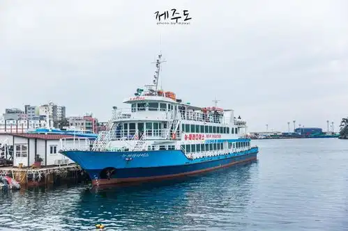 济州岛就是因为这个桥,才使它成为世界级美丽港口
