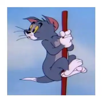 我的收藏

