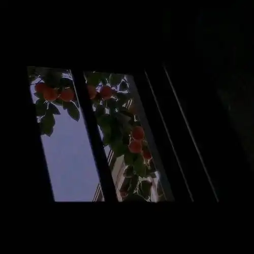 我啊,曾经也是也来自天堂,只不过现唯美图片我要个性网
