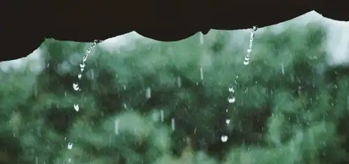 这些温柔的小诗,读后怦然心动
