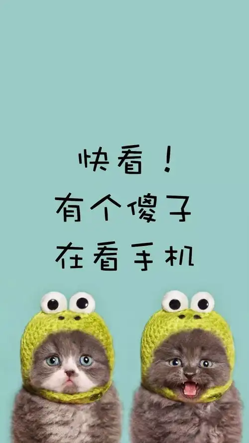 用喜欢的壁纸换一个好心情
