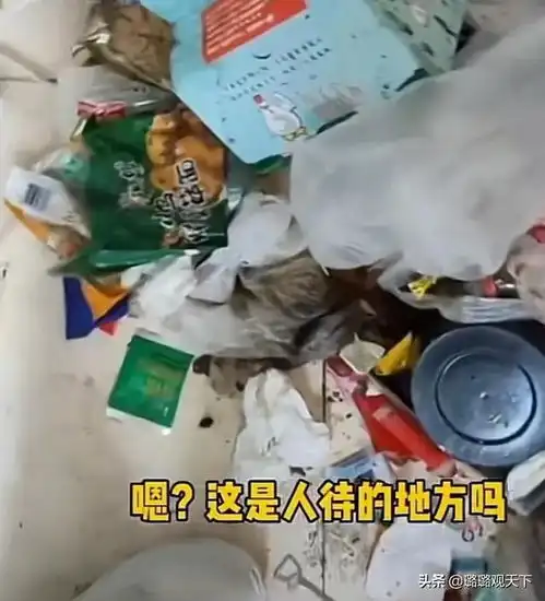 辽宁00后情侣租房内垃圾成堆苍蝇密布,房主不如别人家的猪窝
