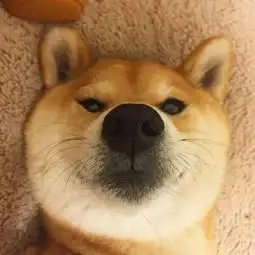 关注
