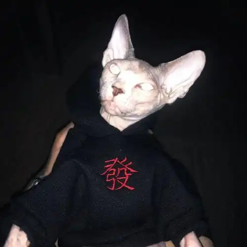 头像大全多系列个性头像超级温柔干净的文案短句
