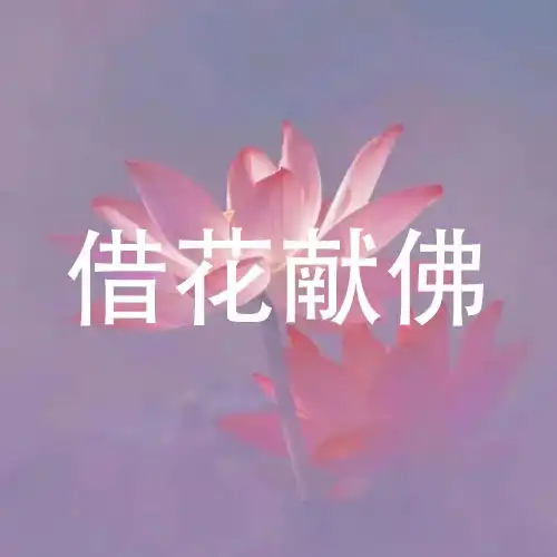 微信头像荷花并配字荷花头像带字佛系静心
