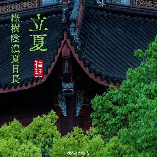 禅意灵隐立夏闲情喜暂舒
