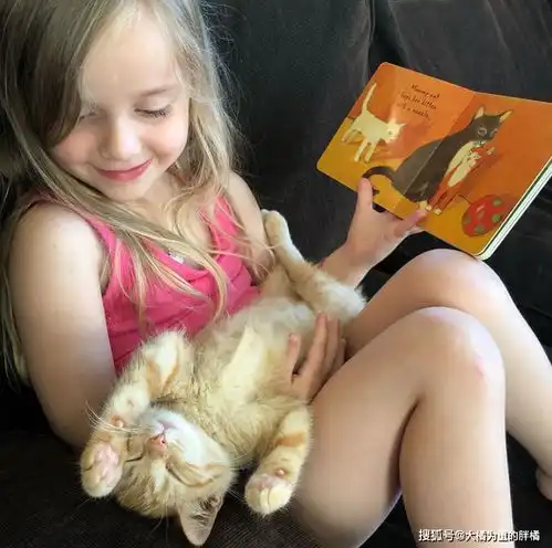 那只爱听小女孩唱歌的橘猫,如今有了继承者,它的逝去成全了小猫
