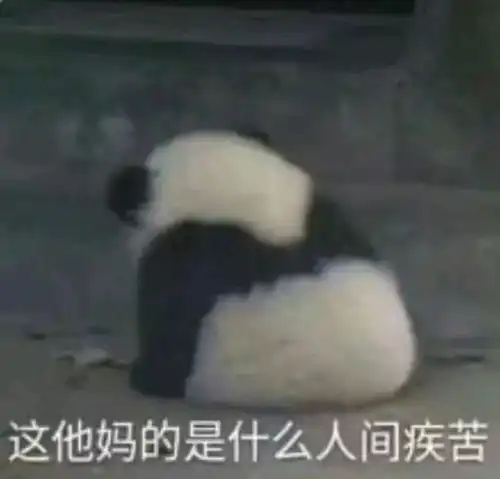 有哪些特别萌的表情包
