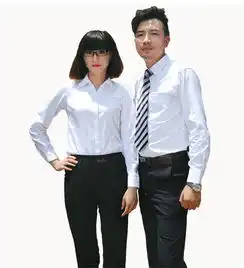 商务休闲衬衣亿诚制服yccy010男女款衬衫情侣职业正装上衣长袖工作服价格厂家图片
