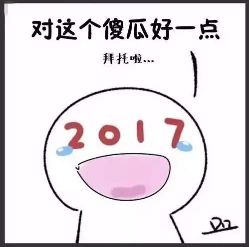 一位商丘美女的2017年终总结,所有人看完都流泪了
