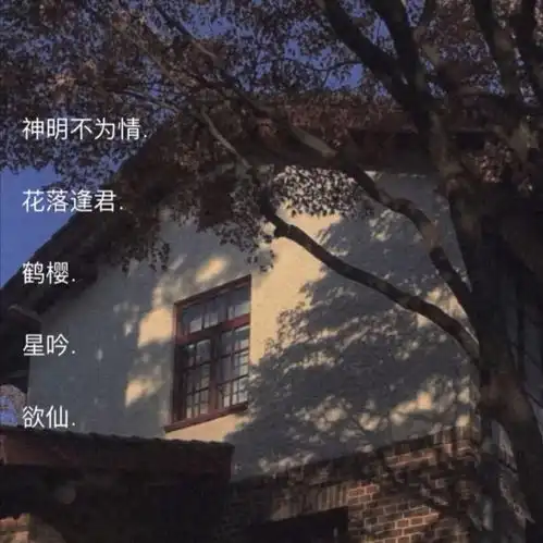 专属你的温柔小众网名
