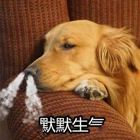 头部被撞,腿部受伤,司机迅速驶离交警却认定不算肇事逃逸
