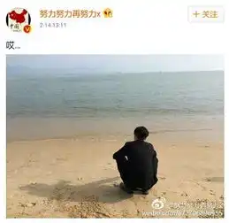张艺兴情人节发了个孤单背影,结果他可能碰见了假粉丝
