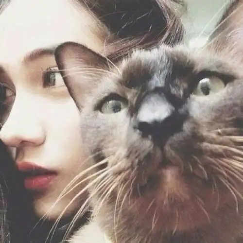 适合发朋友圈的短句子,太精辟了
