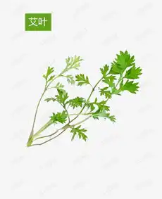 艾叶手绘免费下载素材图片免费下载高清psd千库网图片编号10215921
