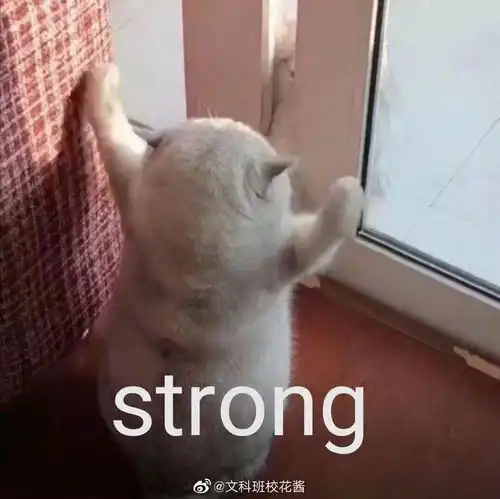 值得长期坚持的好习惯
