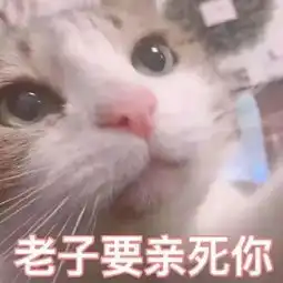 青秀区大型非物质文化遗产展演
