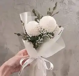 任何的美好,都值得怀念
