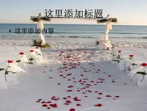 海边浪漫婚礼图片ppt素材2节庆图片ppt模板免费下载dpt格式编号13242802千图网

