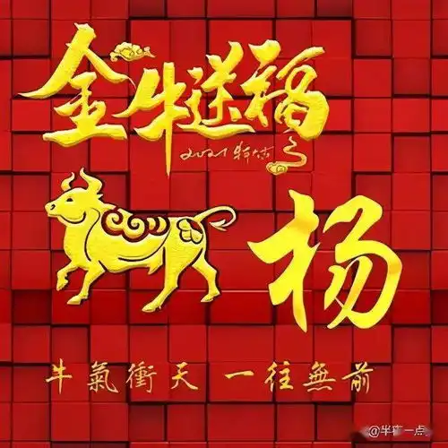 百家姓,姓氏头像之杨
