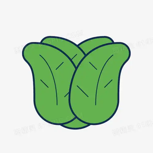 可爱卡通手绘蔬菜菠菜图片免费下载png素材编号1pkiwqwqj图精灵
