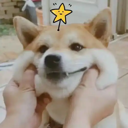 九月朋友圈文案,附加情头
