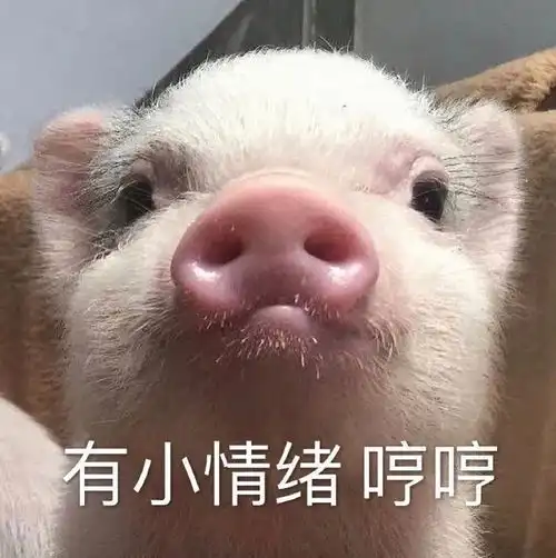 今日计划,啥也不干
