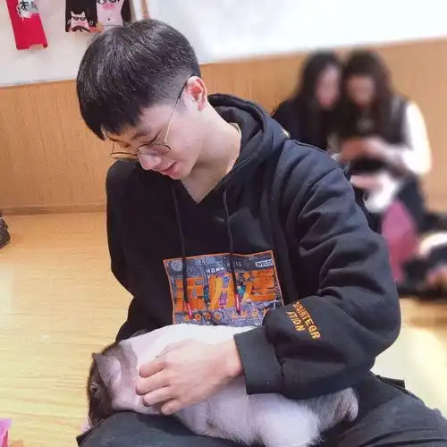 宝藏情侣头像
