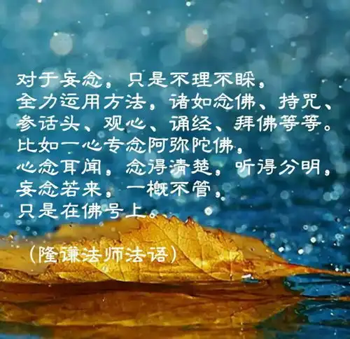 对于妄念,只是不理不睬
