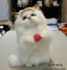 小凡2010的专辑

