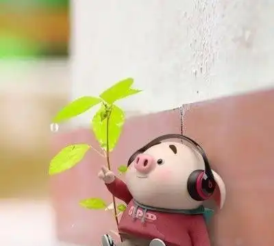句句逗死人的朋友圈句子,笑得人腰都弯了
