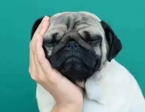 闺蜜的倾诉
