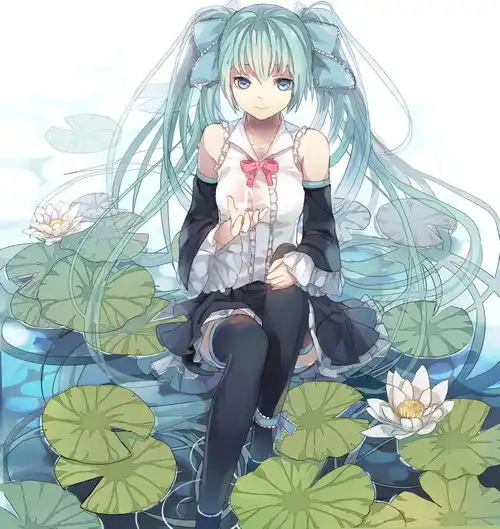 精选唯美高质量动漫壁纸第十一弹初音上
